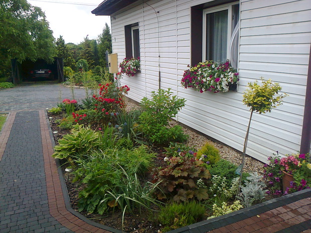 czerwiec - rabata przed moim domem