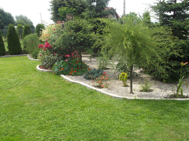 Część zachodnia ogrodu cd.