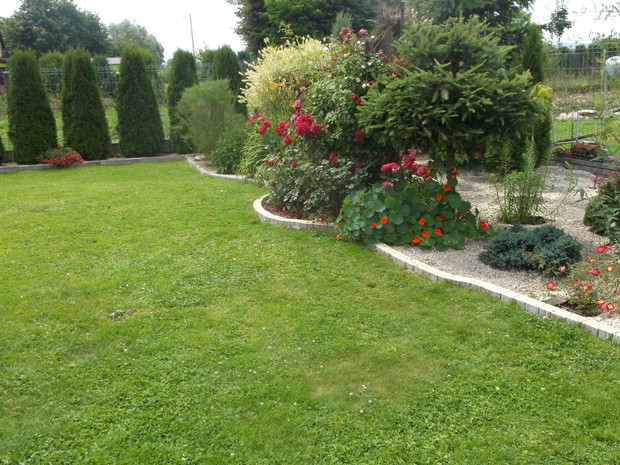 Część zachodnia ogrodu,tu posadziłam róże ,sosenki,wierzbę, jałowce, byliny, 