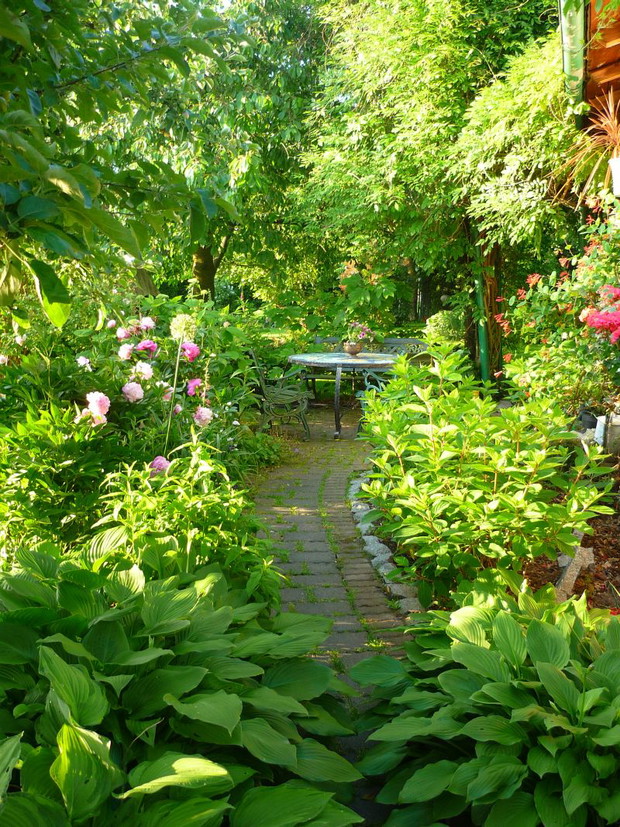 Do cienistego kącika wypoczynkowego prowadzi urocza ścieżka wzdłuż której rosną hortensje bukietowe i piwonie....