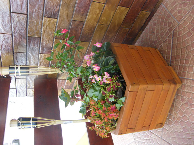 donica z jednorocznymi kwiatami