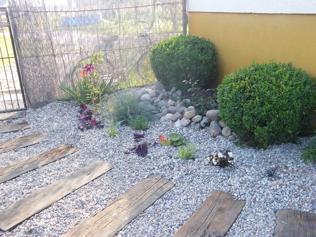 kwiaty przy ścieżce