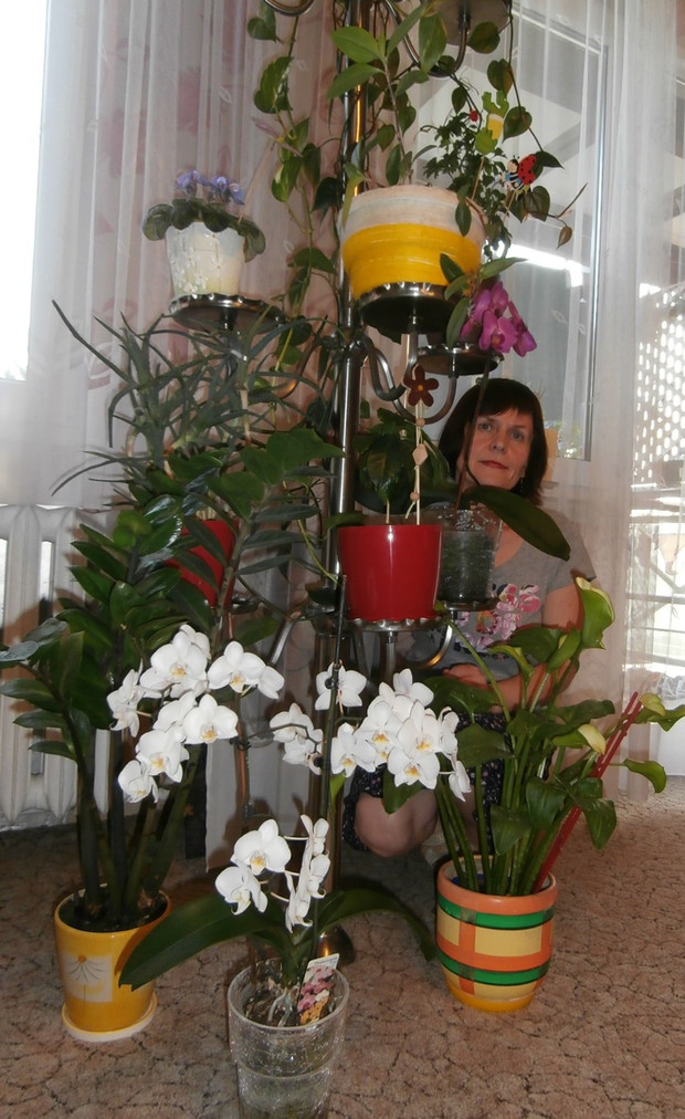 kwietnik pełen kwiatów :)