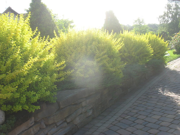 letnie zachody słońca 