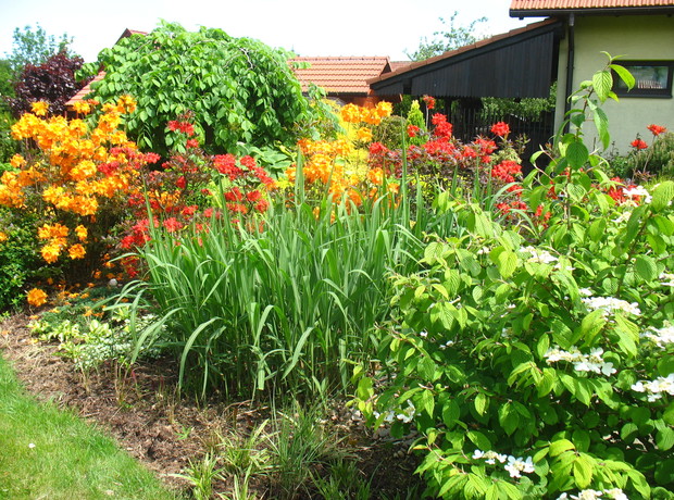 maksymalna dawka kolorów zawsze na wiosnę 