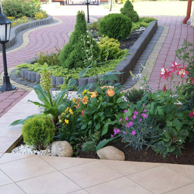 Mały klombik przy wejściu do domu.