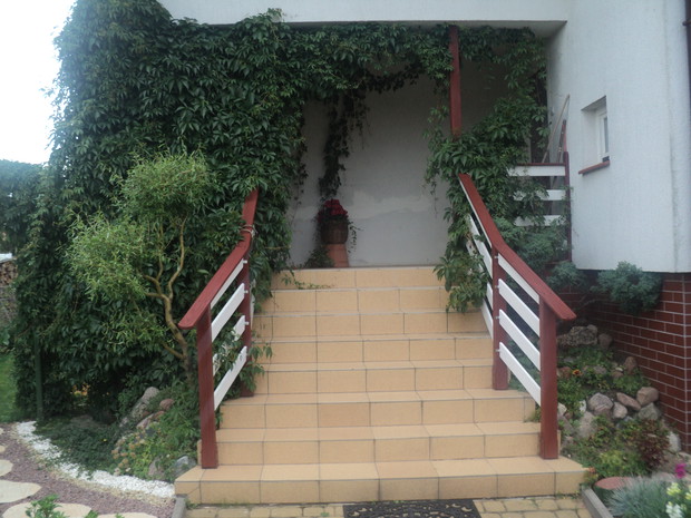 Miło jest usiąść ma ganku w upalny letni dzień, pod osłoną winobluszczu i w miłym chłodzie posłuchać, jak pracują owady. Wiosną jest on siedzibą owadów, a jesienią zachwyca barwami liści.