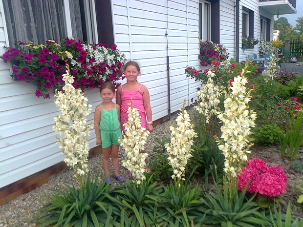moje wnuczki Paulinka i Oliwka wśród juk