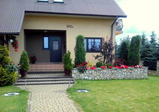 Na pierwszym planie róże szczepione na pniu w klasycznym bordowym odcieniu.