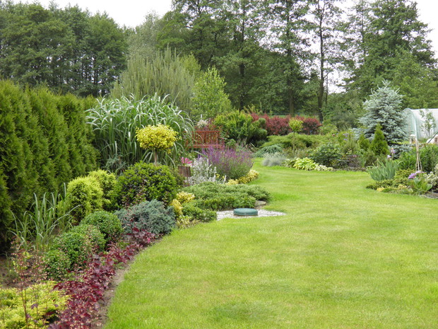 nawet w pochmurny dzień ogród może wyglądać pięknie