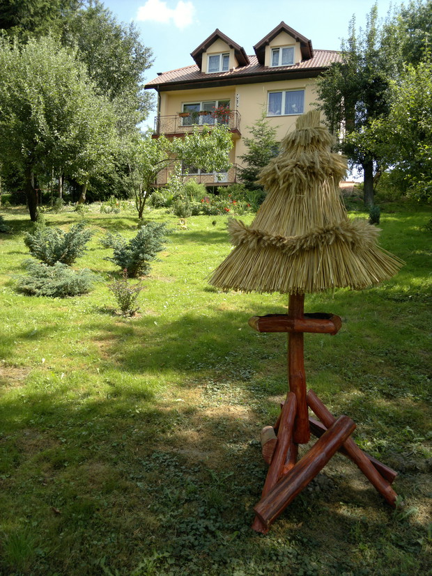 Ogród przed zmianami.