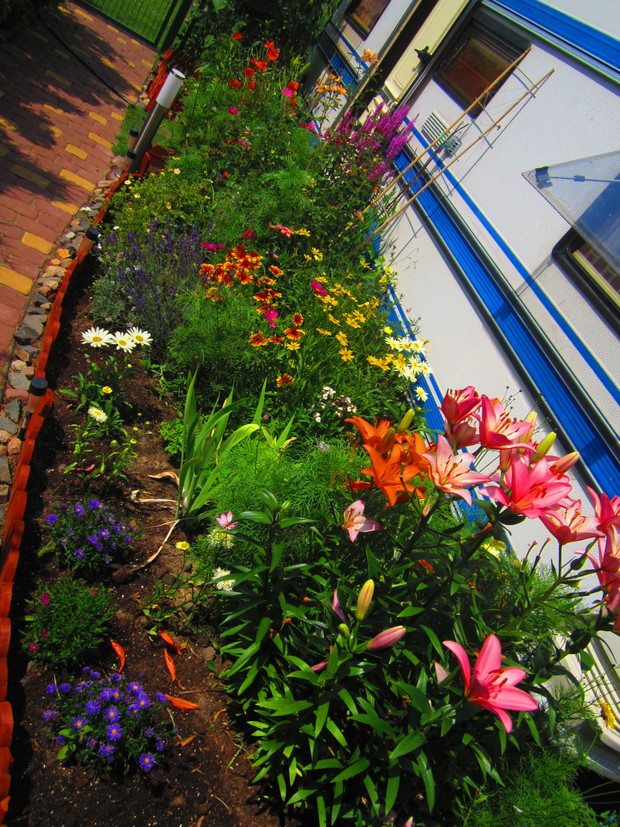  Ogródek w stylu wiejskim mojego brata