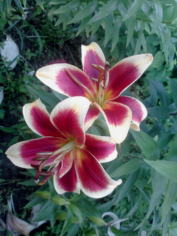 ooooooooooooooooooooooooooooooooo
