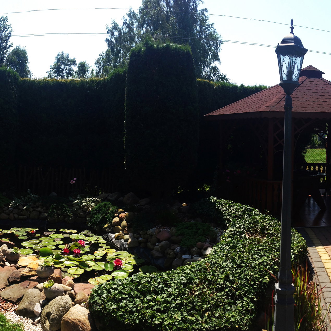 Panorama mojego ogrodu