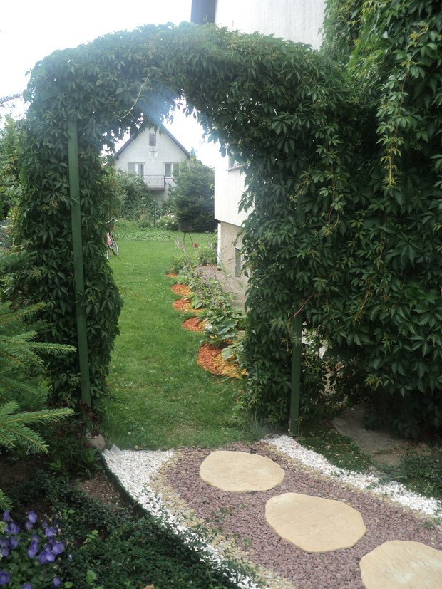 Pergola porośnięta winobluszczem kończy aranżację japońską i stwarza tajemnicze przejście do dalszej części ogrodu.