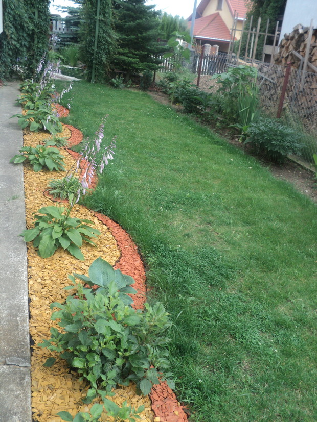 Po prawej stronie, za pergolą, wzdłuż domu posadziłam mało wymagające funkie. Stworzyłam im kolorowe tło ze zrębów i muczu. 