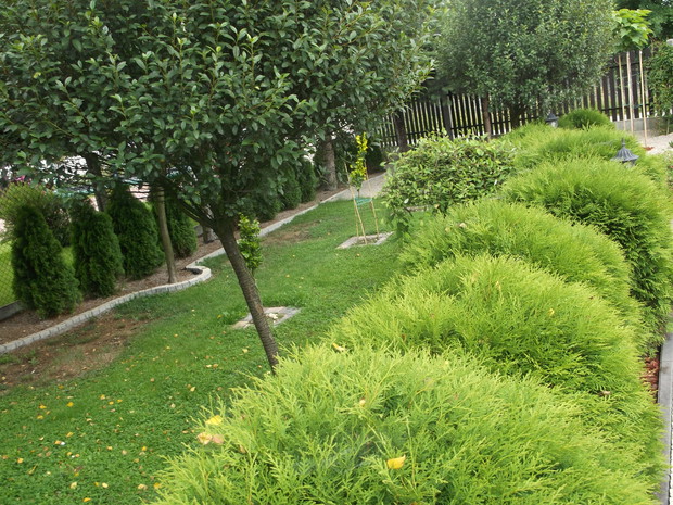 północna część ogrodu  cd.