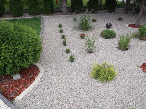 Północna część ogrodu, nie chciała rosnąć tu trawa ,więc postanowiłam powiększyć ogród, posadziłam tu berberysy, trawki ozdobne,bukszpany.