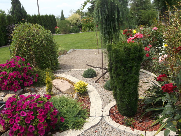 południowa strona ogrodu .