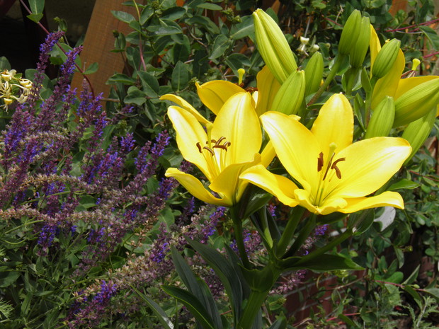 prezent od mamy, rodzinka wie jakie lubię prezenty :)