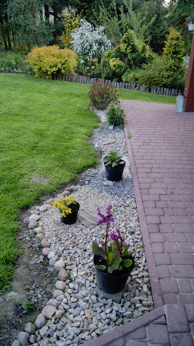 Ścieżka przed domem.