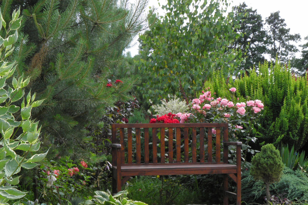 ścieżka wypoczynkowa otoczona moimi ulubionymi funkiami