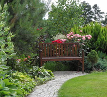 ścieżka wypoczynkowa otoczona moimi ulubionymi funkiami