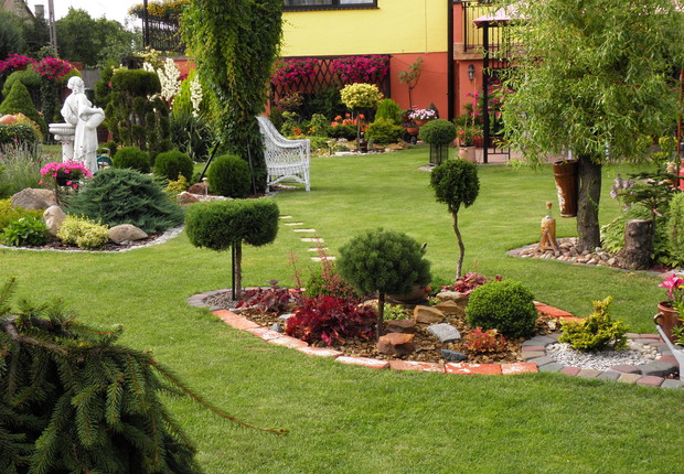 stara jabłoń porośnięta winobluszczem a pod nią miejsce do odpoczynku :)