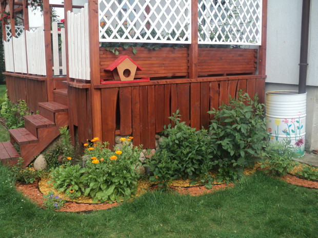 Stare beczki pomalowałam, przyozdobiłam kwiatami z papieru samoprzylepnego. Są one nieocenionym zbiornikiem wody deszczowej. Obsadziłam je też daliami.