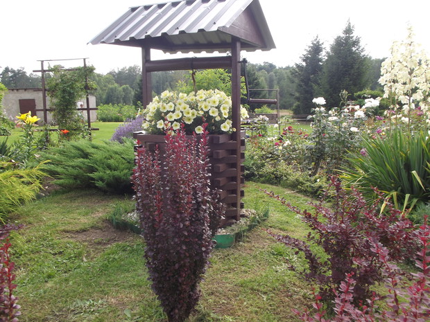 Studnia wykonana przez męża.