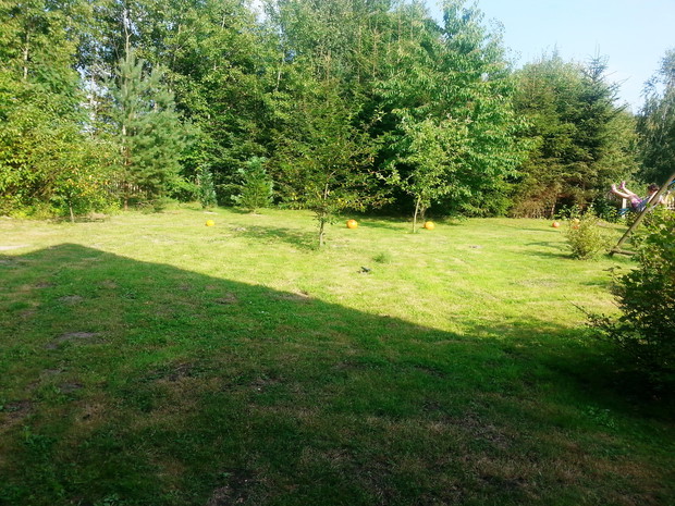 ten teren upatrzyły sobie nieproszeni goście...