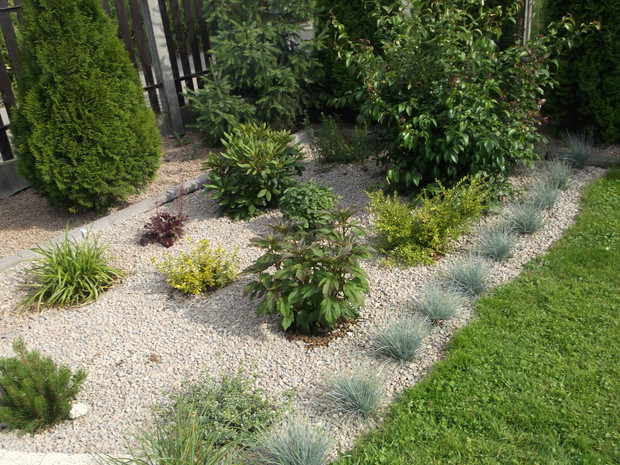 To część południowo wschodnia ogrodu, postanowiłam powiększyć ogród przy fontannie, posadziłam różaneczniki,trawki kostrzewa sina są żywym krawężnikiem,jest tu też pigwa,hibiskus bylinowy, liljak.