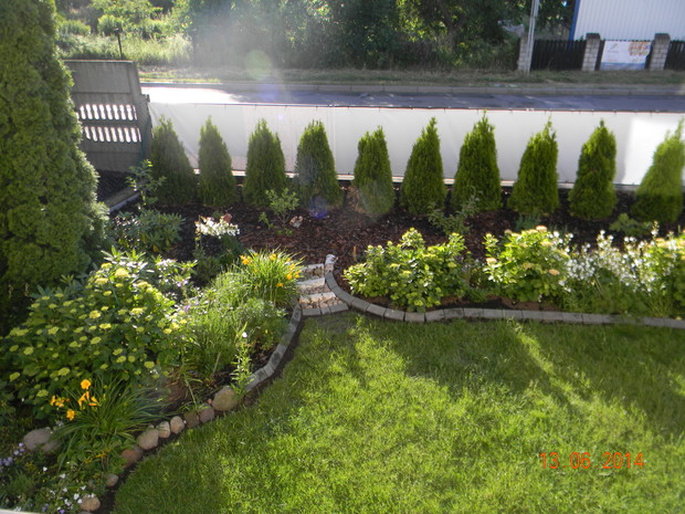 TO JUŻ CZERWIEC I NOWE NASADZENIA . . . 