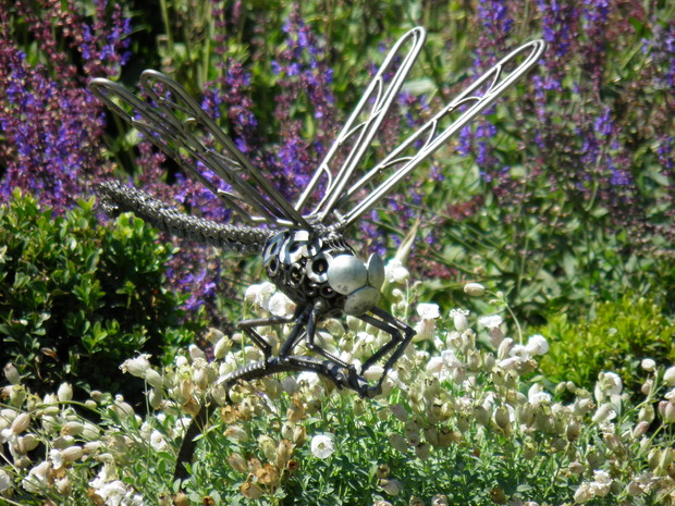 transformers w ogrodzie