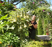 W doborowym towarzystwie " ANOŁÓW Z TRĄBAMI"