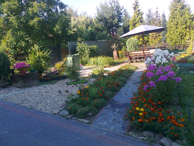 w tym miejscu lubię pić kawe