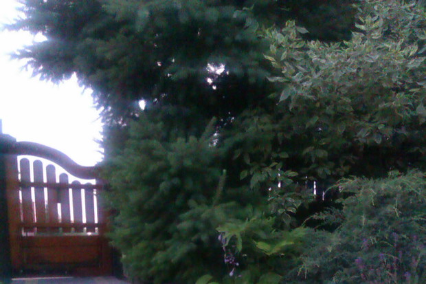 wejście do mojego małego ogródka