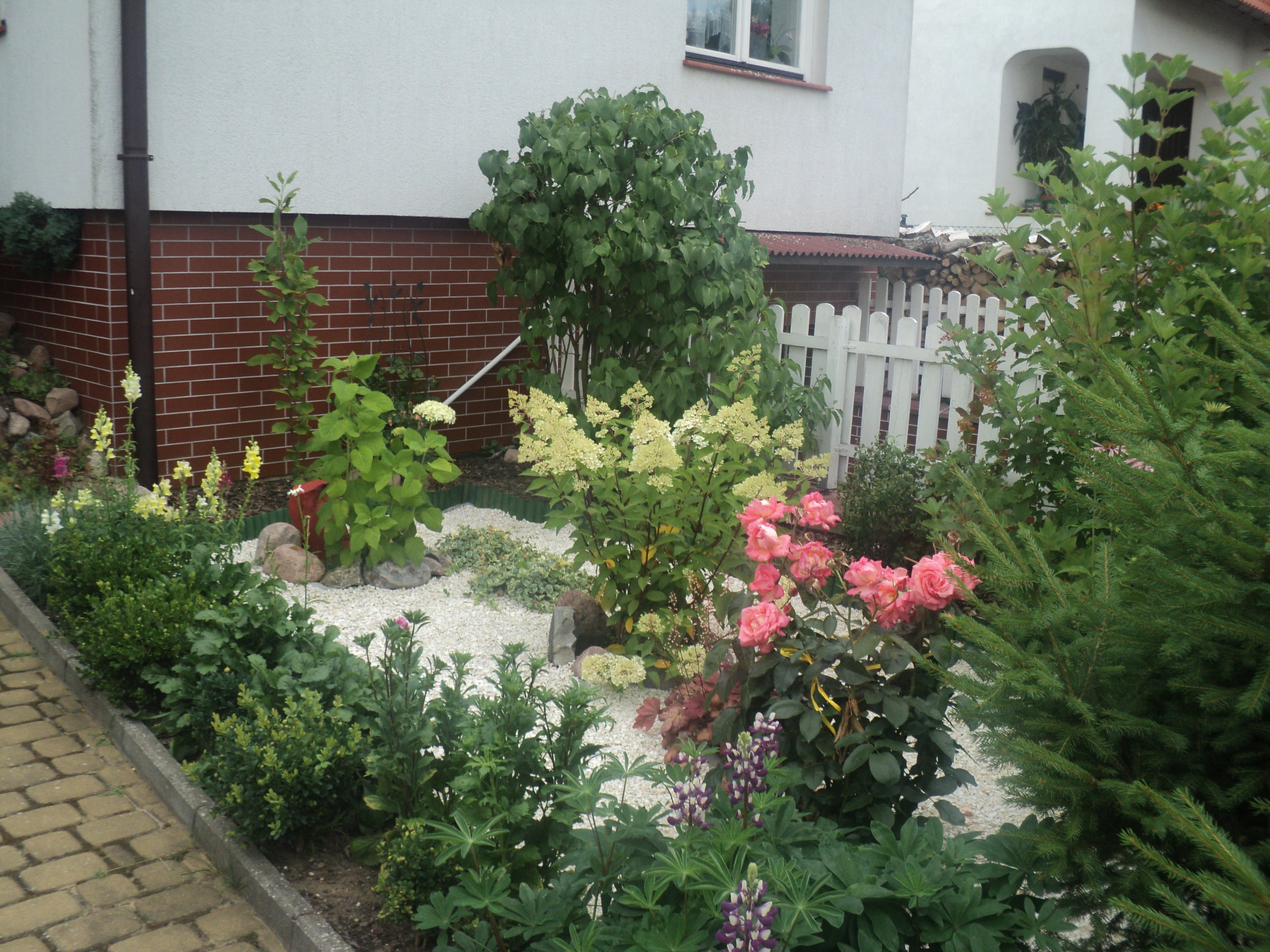 Wejście od strony południowej z elementami ogrodu japońskiego. Zamiast trawy są kamyki na agrowłókninie. Ta część ogrodu powstała w ubiegłym roku. Rośliny są okrywane. Zima nie zniszczyła aranżacji, pomimo metrowego śniegu.