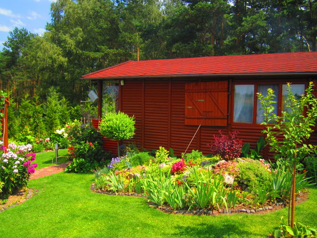 Widok na domek i skalniak