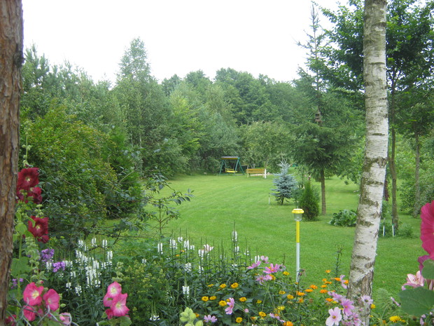 Widok na ogród przydomowy