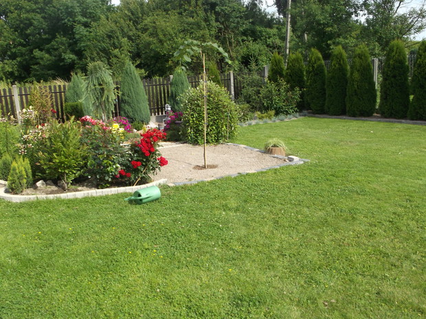 Widok na południowo wschodnią część ogrodu.