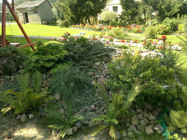 Widok z za oczka wodnego.