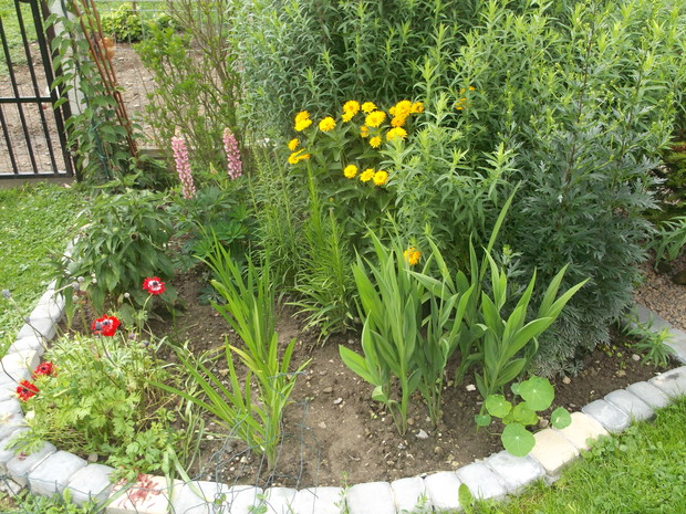 Wiejski zakątek strona zachodnia.