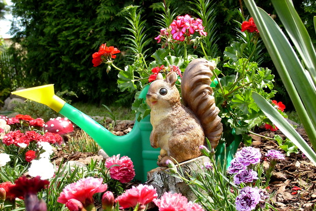 Wiewiórka siedząca na pieńku