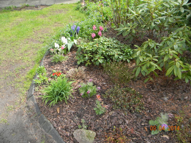 WIOSNA TEGO ROKU . . .