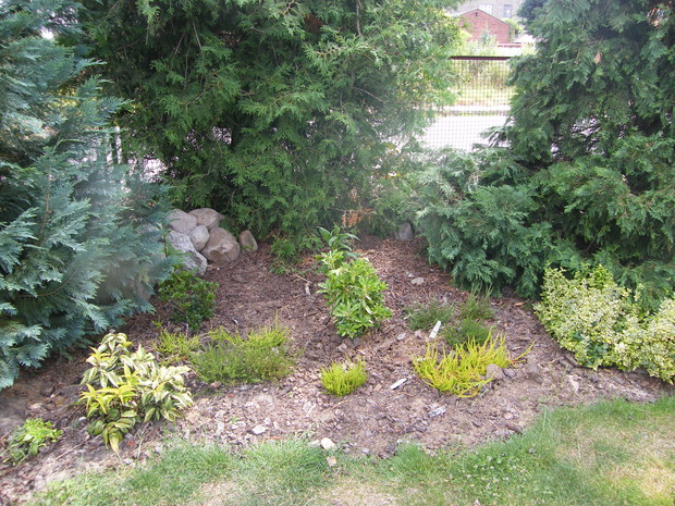 wrzosowa rabata z pierisem