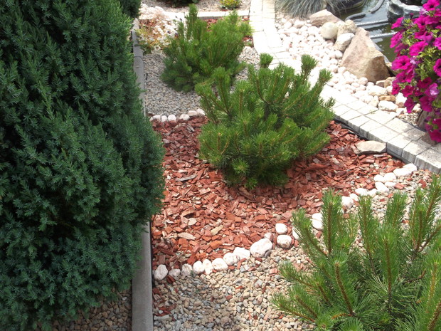 wschodnia część ogrodu.