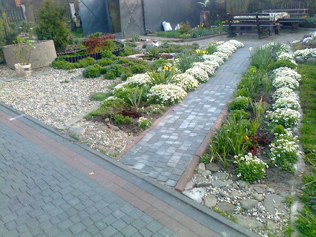 zaczyna  się wiosna w ogrodzie