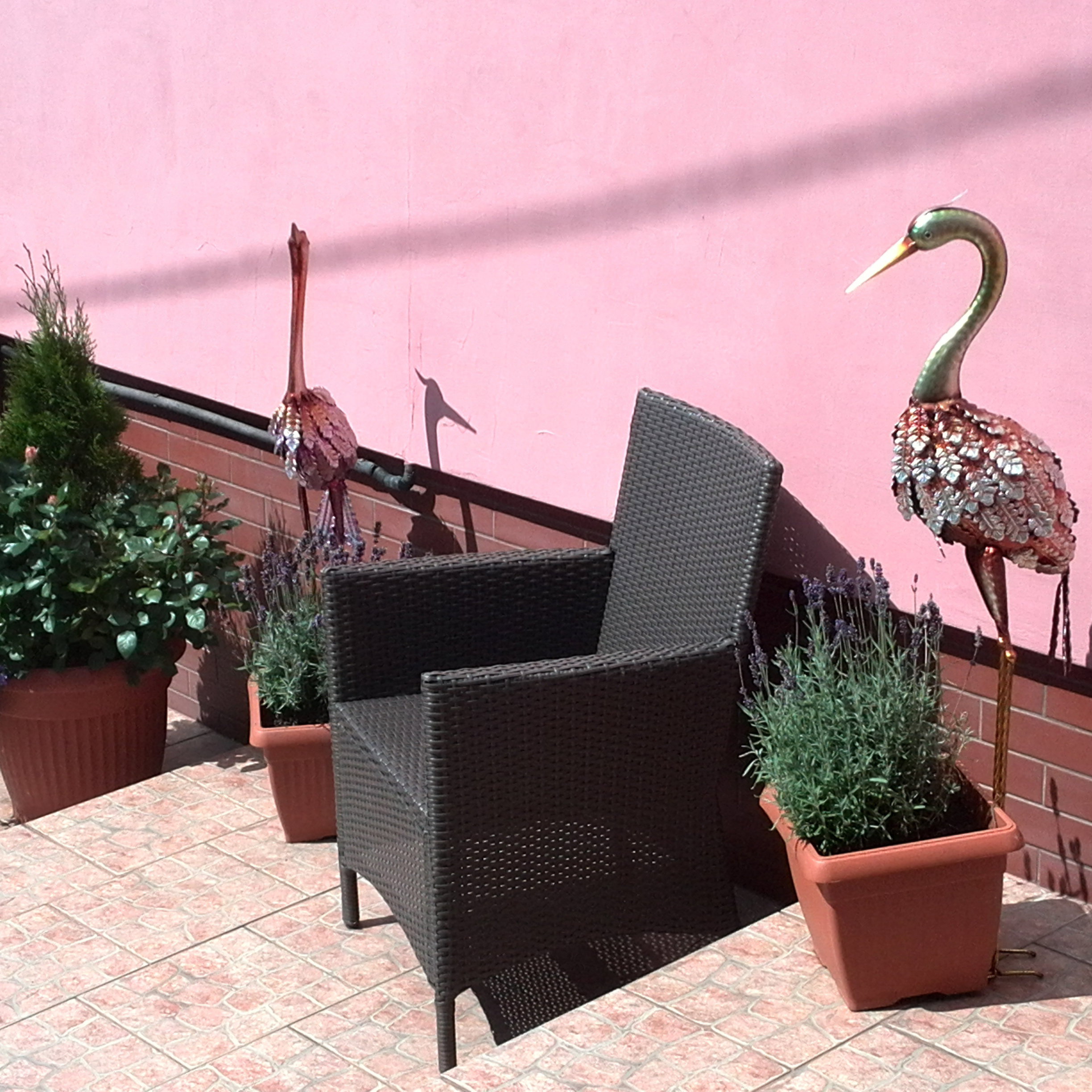 Żurawie z metaloplastyki w towarzystwie lawend.