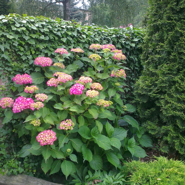 A gdy tylko miniesz wrota...